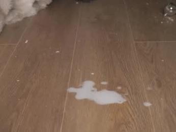 agent_blonde chaturbate stream image, 06.12.2025 19:00