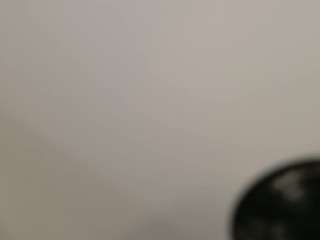 nina-rose camsoda stream image