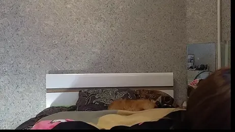 DemiDee stripchat stream image, 15.12.2025 20:20