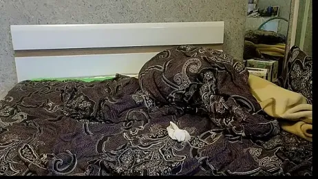 DemiDee stripchat stream image, 15.12.2025 20:20