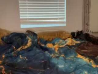 laylared camsoda stream image, 01.01.2026 14:10