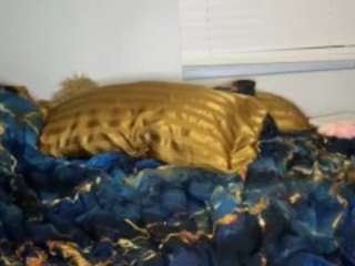 laylared camsoda stream image, 08.01.2026 03:40