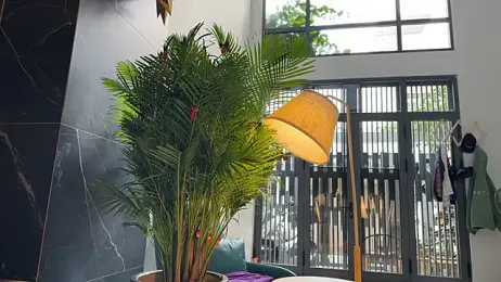 MaryGii stripchat stream image