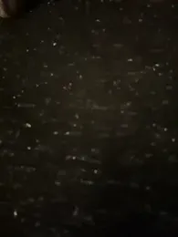 Novababy18 stripchat stream image, 27.01.2026 21:40