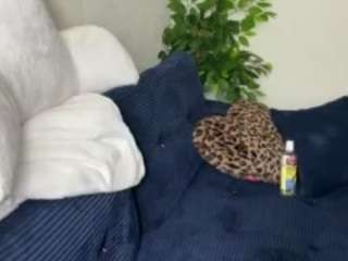 iambaldheadbrittany camsoda stream image