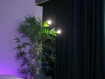 ArtTeasee bongacams stream image