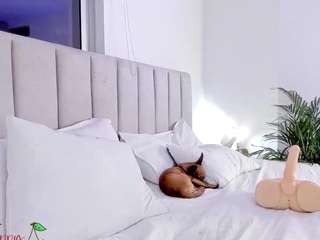 foxy-boobs camsoda stream image