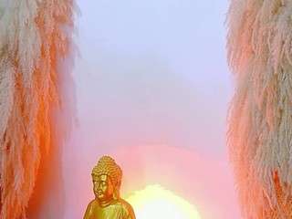 juliethdavis camsoda stream image