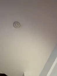 Andrestarr stripchat stream image