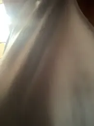 Hall_16 stripchat stream image