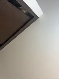 Lander_Cruz stripchat stream image