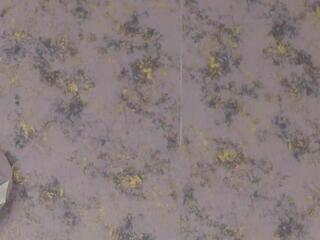 Emma Robi flirt4free stream image, 10.04.2026 11:10