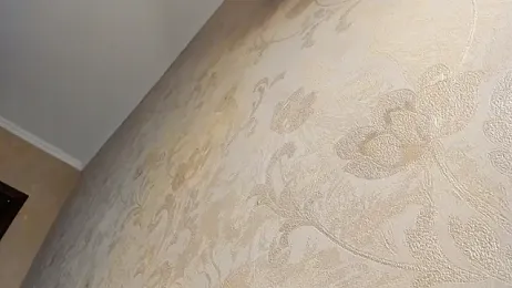 Diamond_D_ stripchat stream image