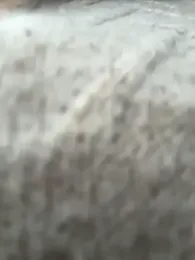 LIZ-06_ stripchat stream image, 16.04.2026 18:10