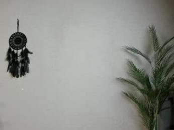 euphoria_life chaturbate stream image, 02.05.2026 00:40