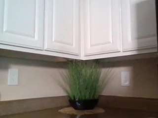 lovely-brown94 camsoda stream image