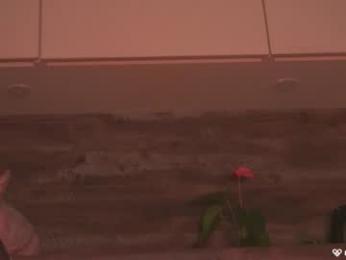 agent_blonde chaturbate stream image, 30.04.2025 16:10