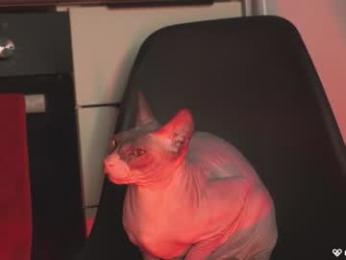 agent_blonde chaturbate stream image, 30.04.2025 16:10